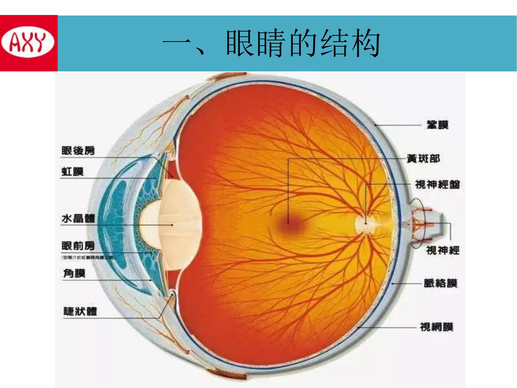 区域招商(图31)